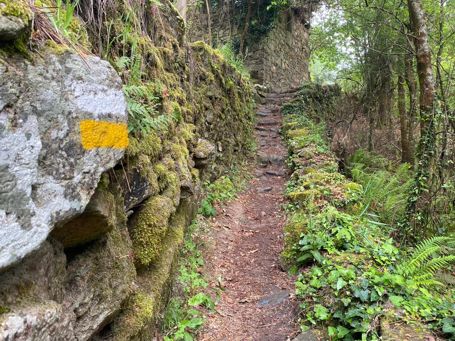 Ribeira Sacra Lucense Guíate Galicia