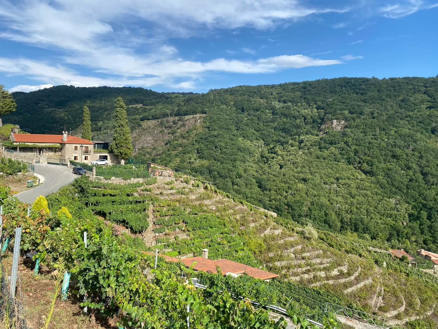 Ribeira Sacra Lucense Guíate Galicia