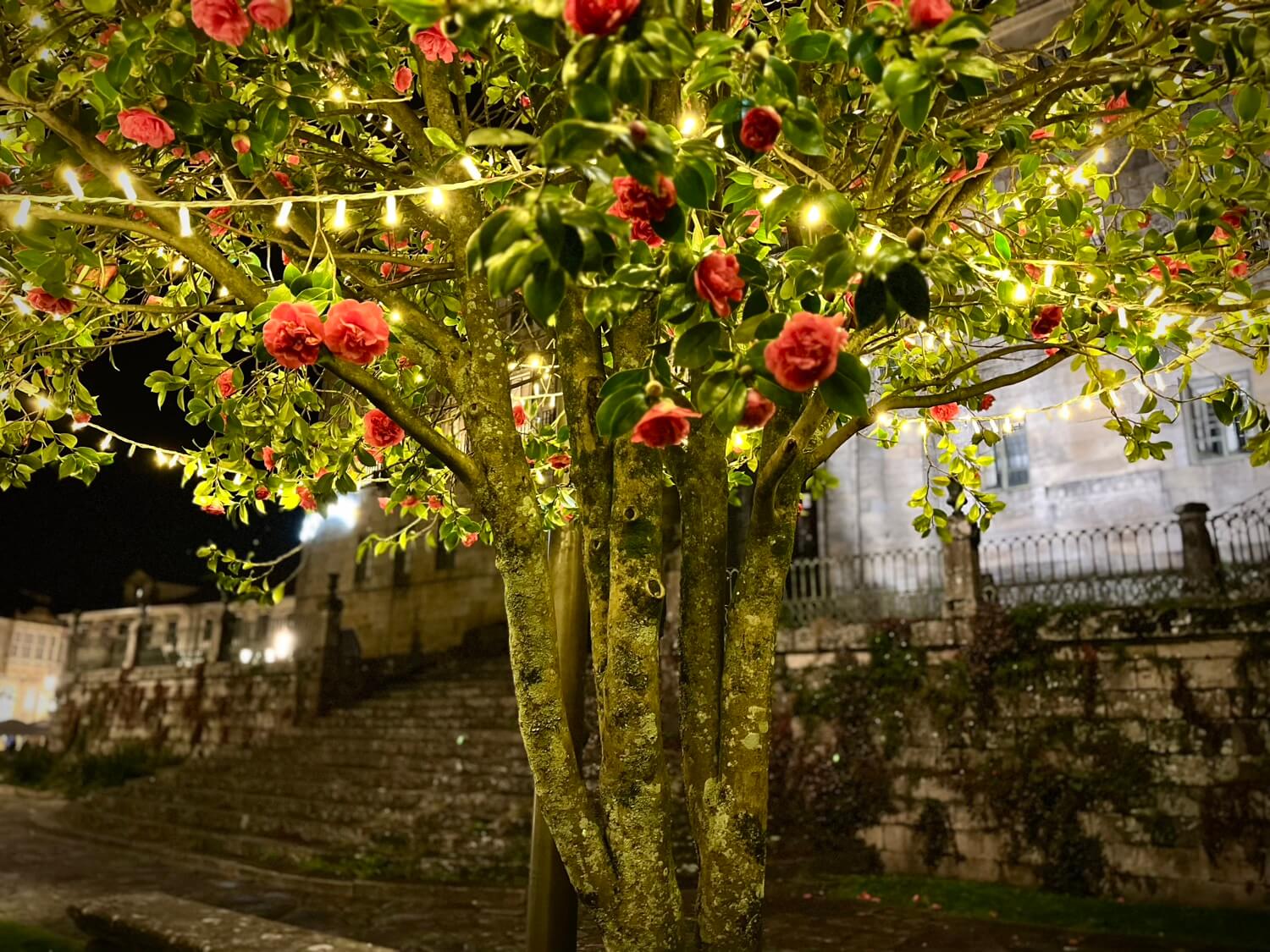 Decoración navideña Pontevedra Guíate Galicia